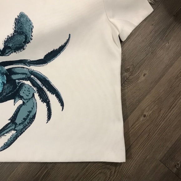 J.Crew | Crab Top - Picture 5 of 8
